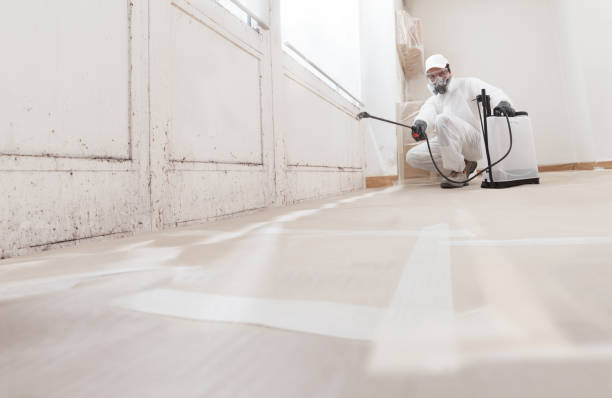 24/7 Emergency Mold Remediation experts in McLean, VA